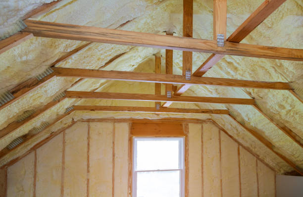 Best Specialized Insulation Services in Cheboygan, MI