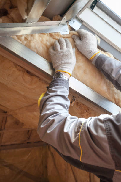 Best Geographic-Specific Insulation Services in Cheboygan, MI