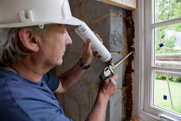 Best Geographic-Specific Insulation Services in Cheboygan, MI
