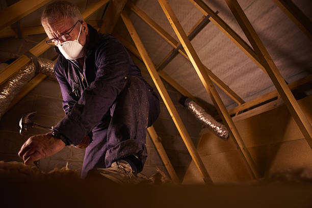 Best DIY Insulation Kits and Guidance in Cheboygan, MI