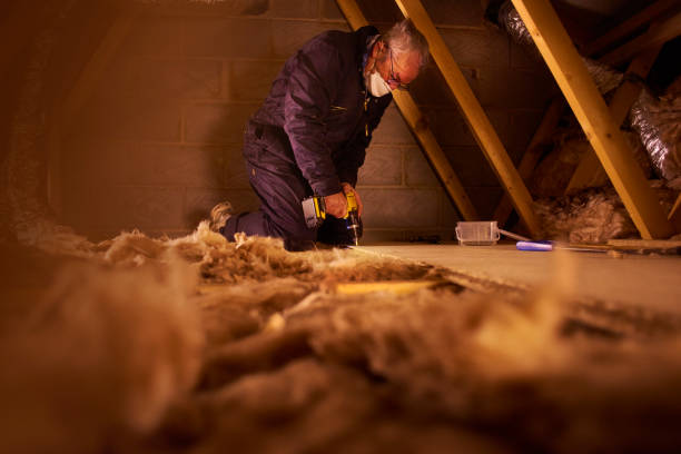 Best Cellulose Insulation in Cheboygan, MI